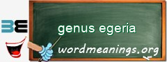 WordMeaning blackboard for genus egeria